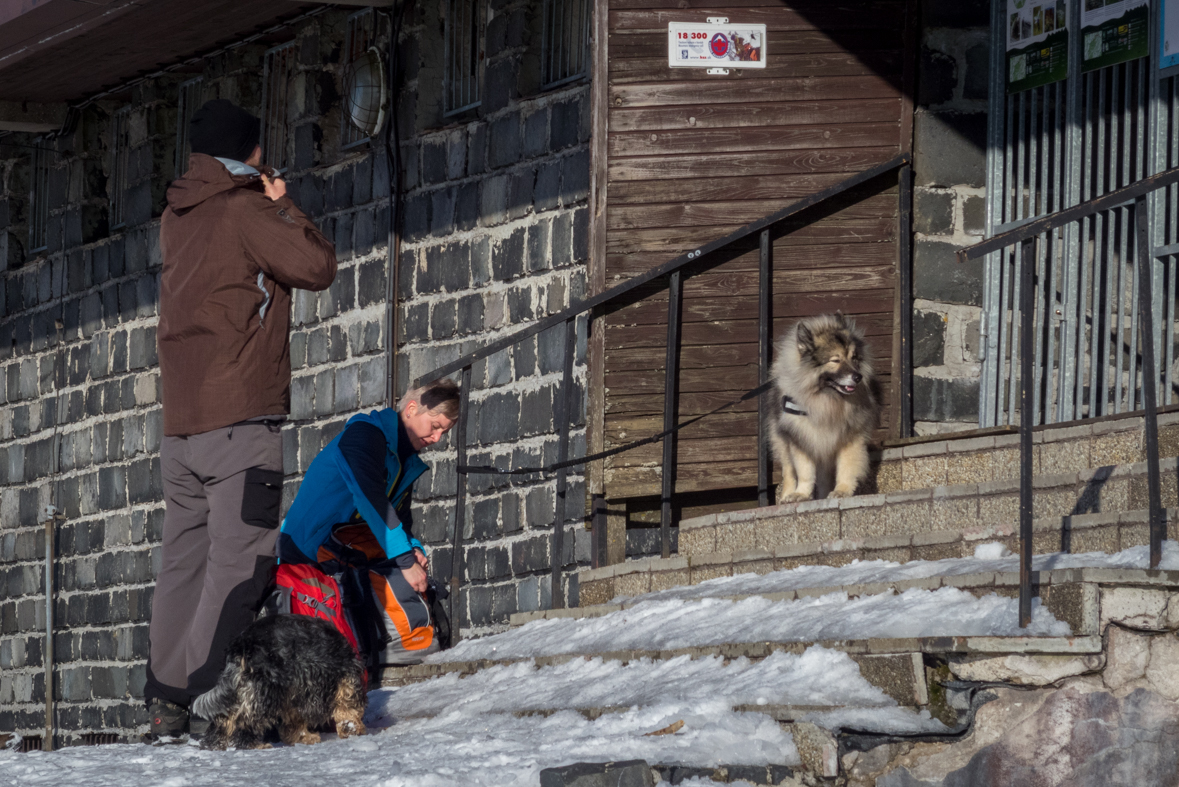 Kráľova hoľa zo Šumiaca (Nízke Tatry)