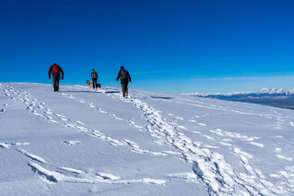 Kráľova hoľa zo Šumiaca (Nízke Tatry)