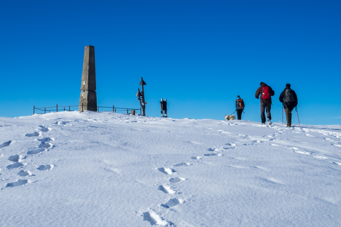 Kráľova hoľa zo Šumiaca (Nízke Tatry)