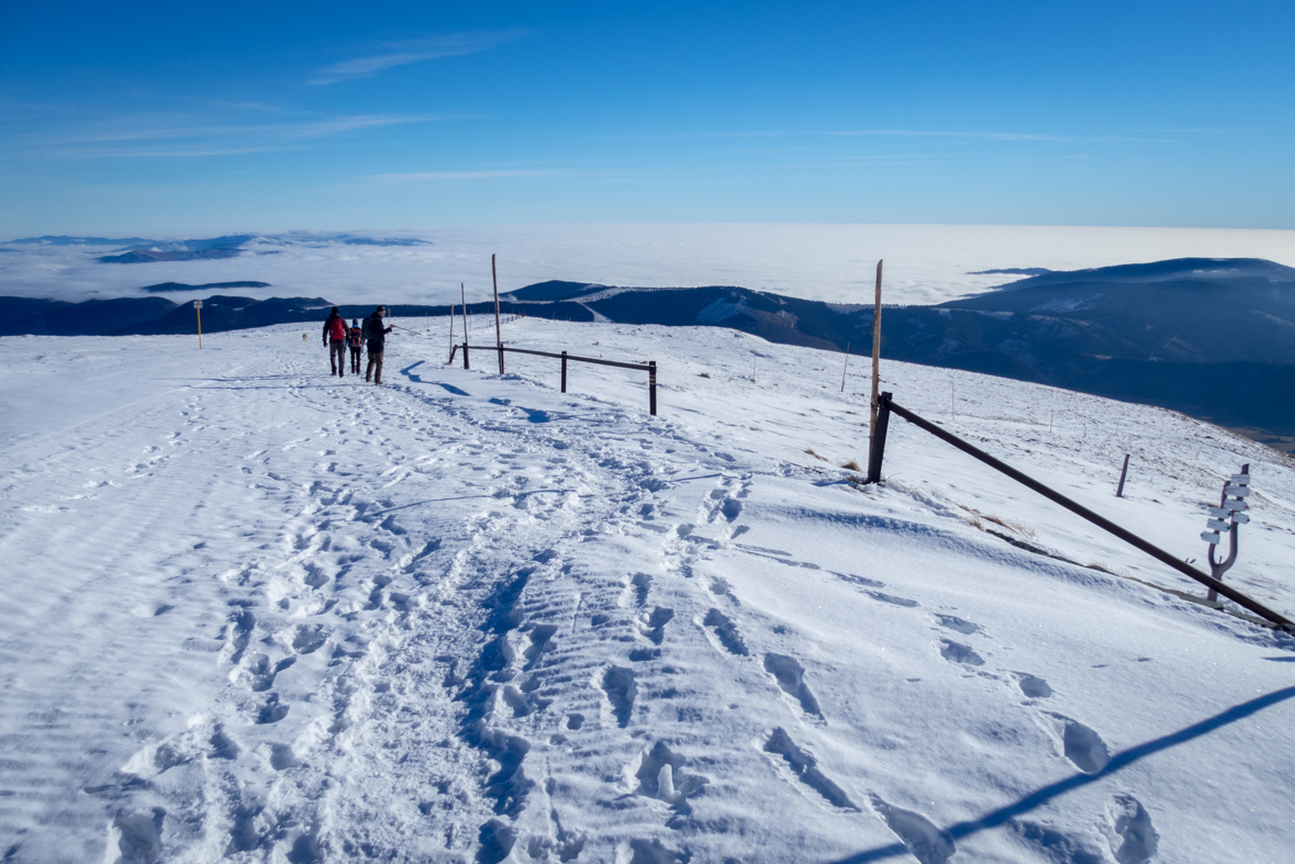 Kráľova hoľa zo Šumiaca (Nízke Tatry)