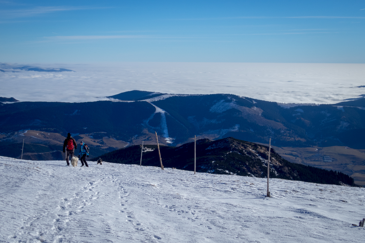 Kráľova hoľa zo Šumiaca (Nízke Tatry)