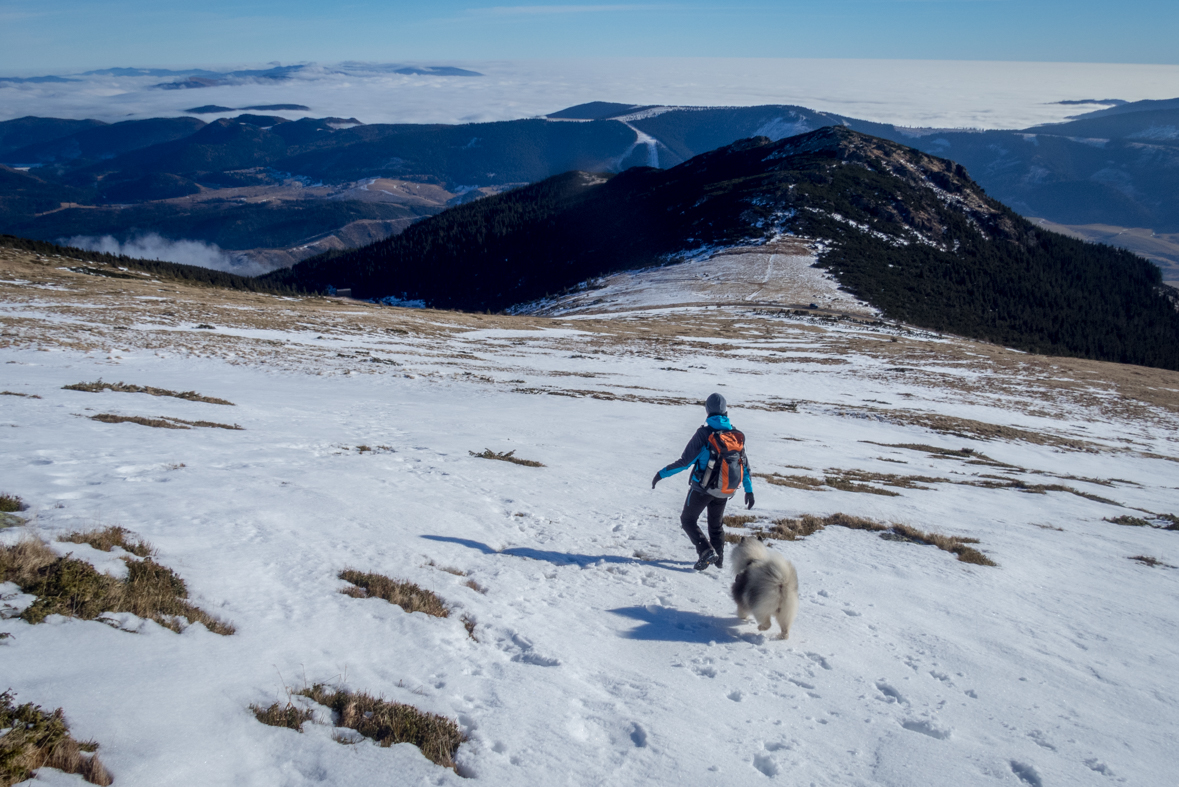 Kráľova hoľa zo Šumiaca (Nízke Tatry)