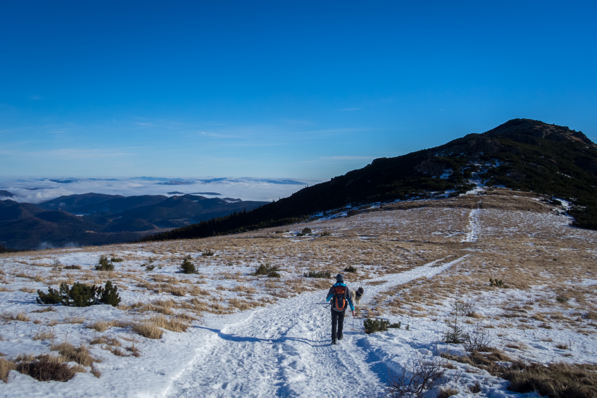 Kráľova hoľa zo Šumiaca (Nízke Tatry)