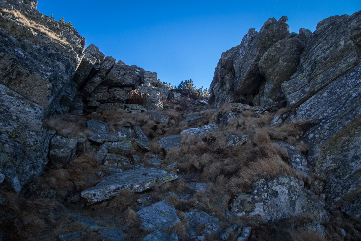 Kráľova hoľa zo Šumiaca (Nízke Tatry)