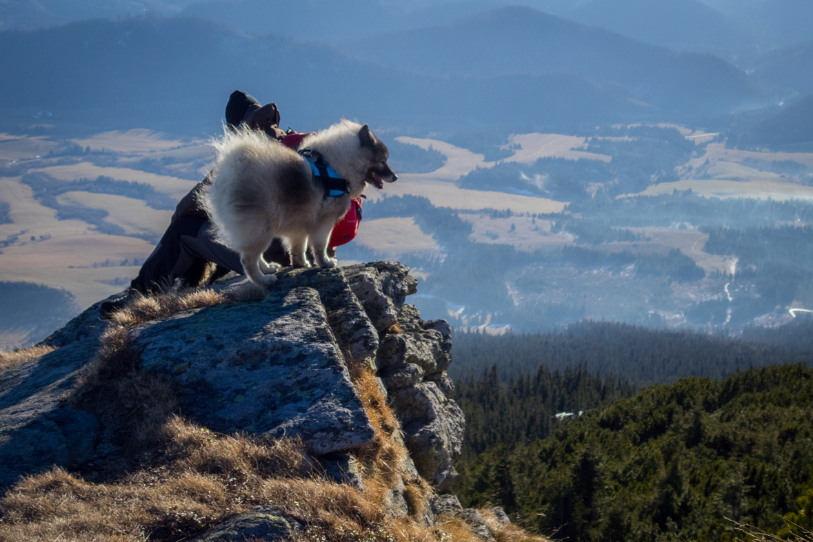 Kráľova hoľa zo Šumiaca (Nízke Tatry)