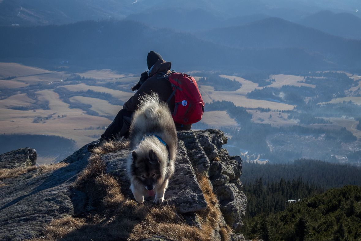 Kráľova hoľa zo Šumiaca (Nízke Tatry)