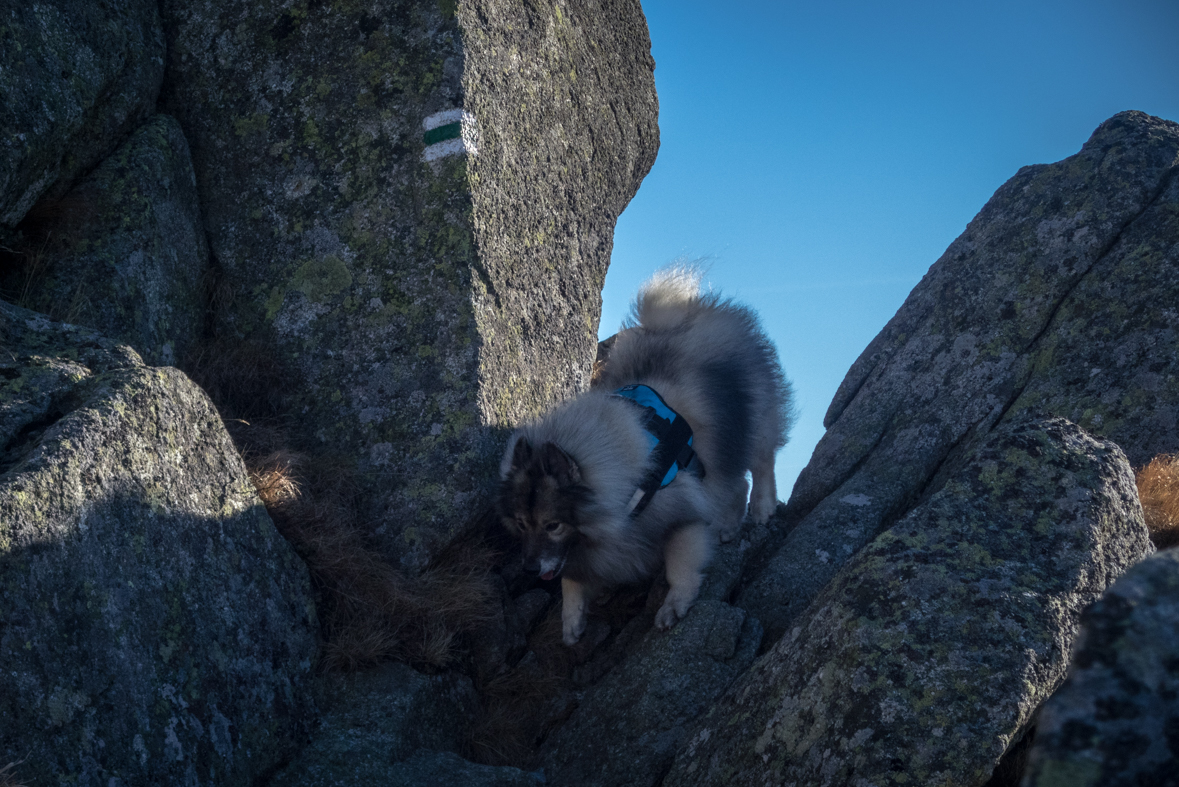 Kráľova hoľa zo Šumiaca (Nízke Tatry)