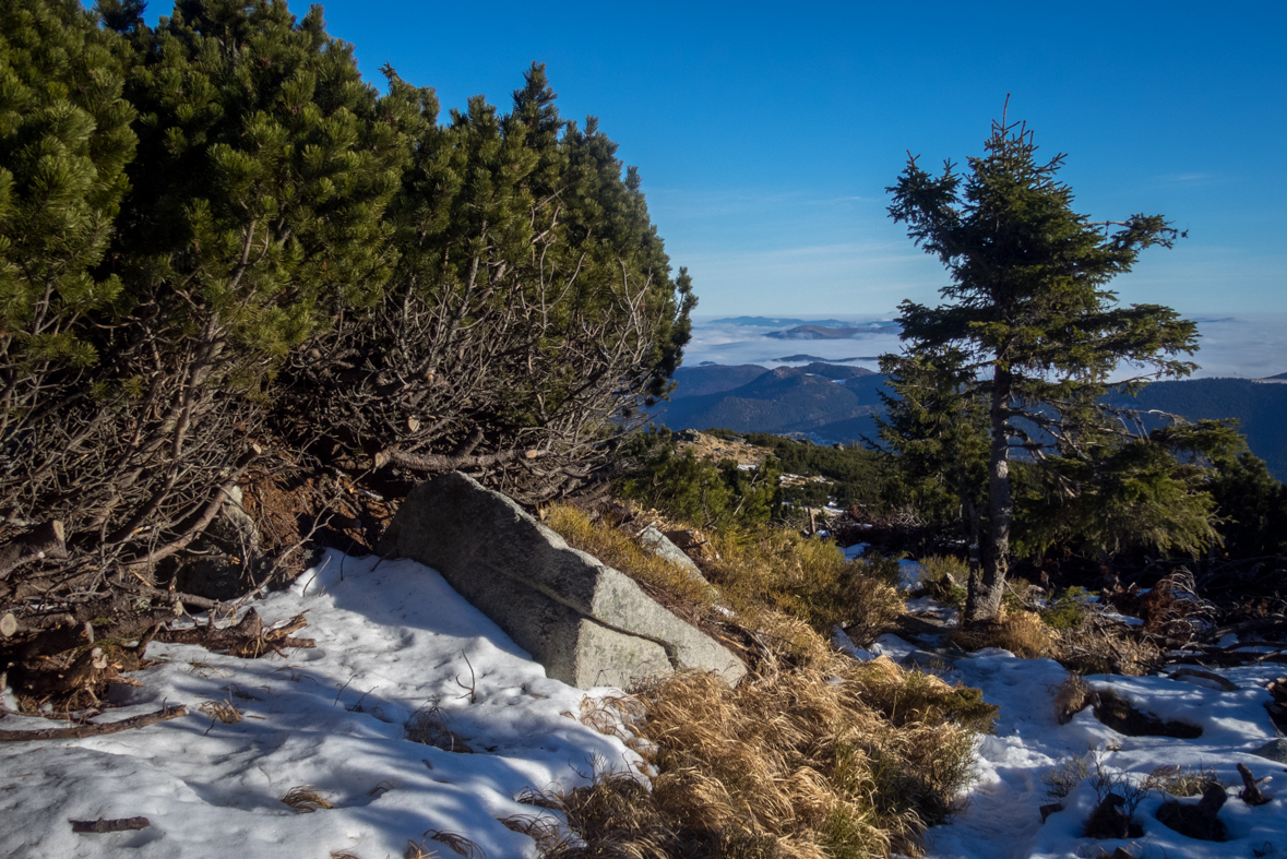 Kráľova hoľa zo Šumiaca (Nízke Tatry)