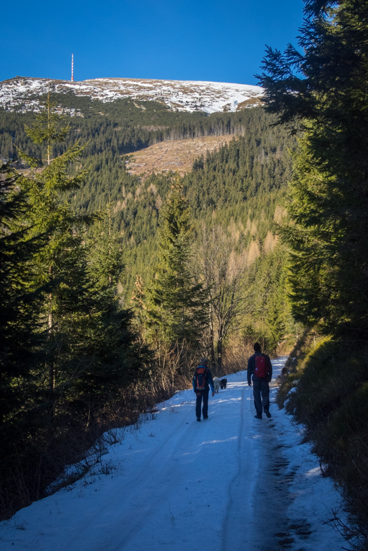 Kráľova hoľa zo Šumiaca (Nízke Tatry)