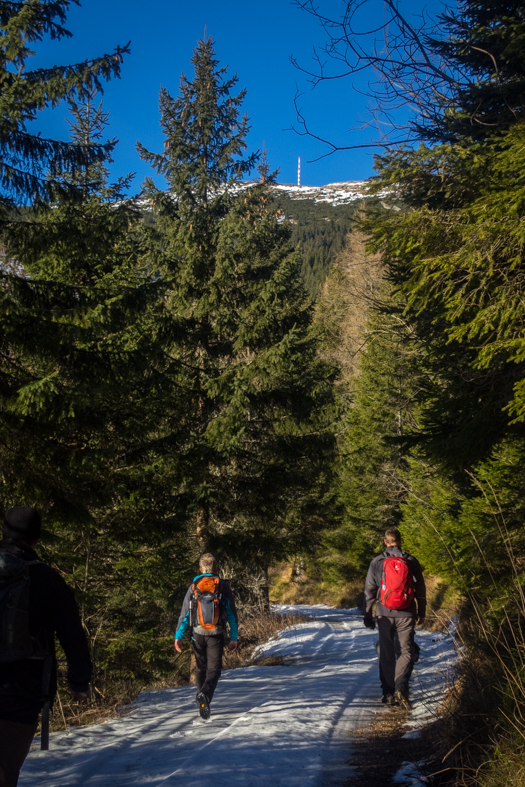 Kráľova hoľa zo Šumiaca (Nízke Tatry)