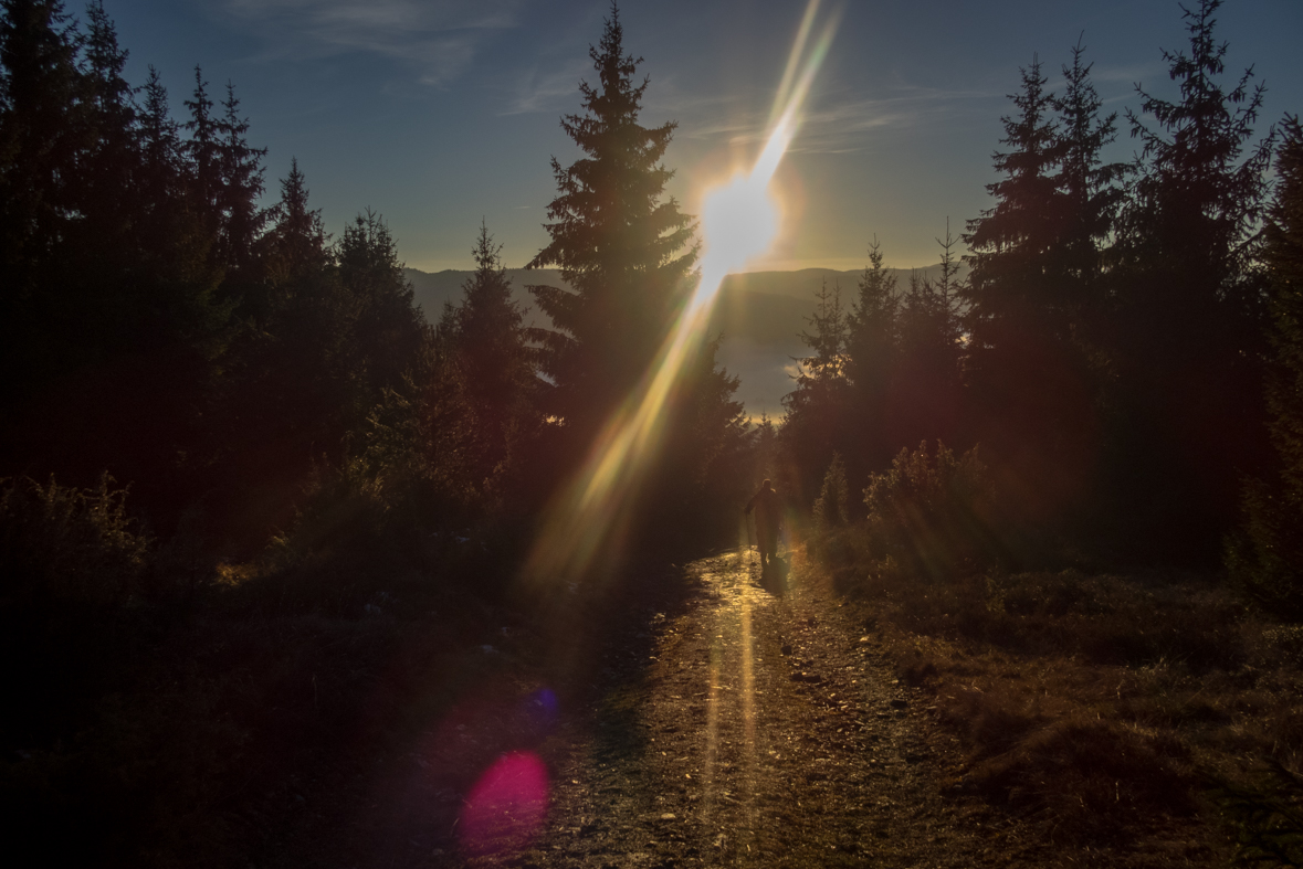 Kráľova hoľa zo Šumiaca (Nízke Tatry)