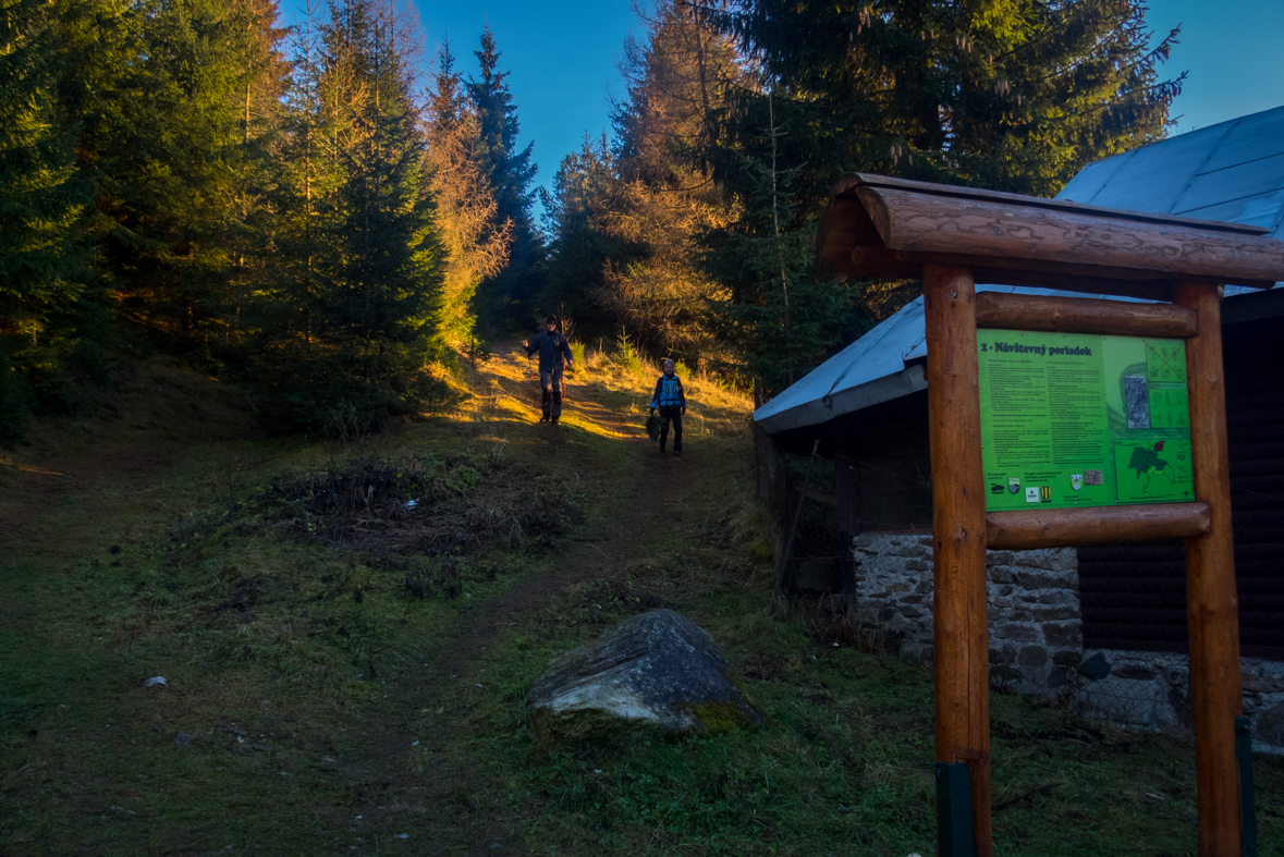 Kráľova hoľa zo Šumiaca (Nízke Tatry)