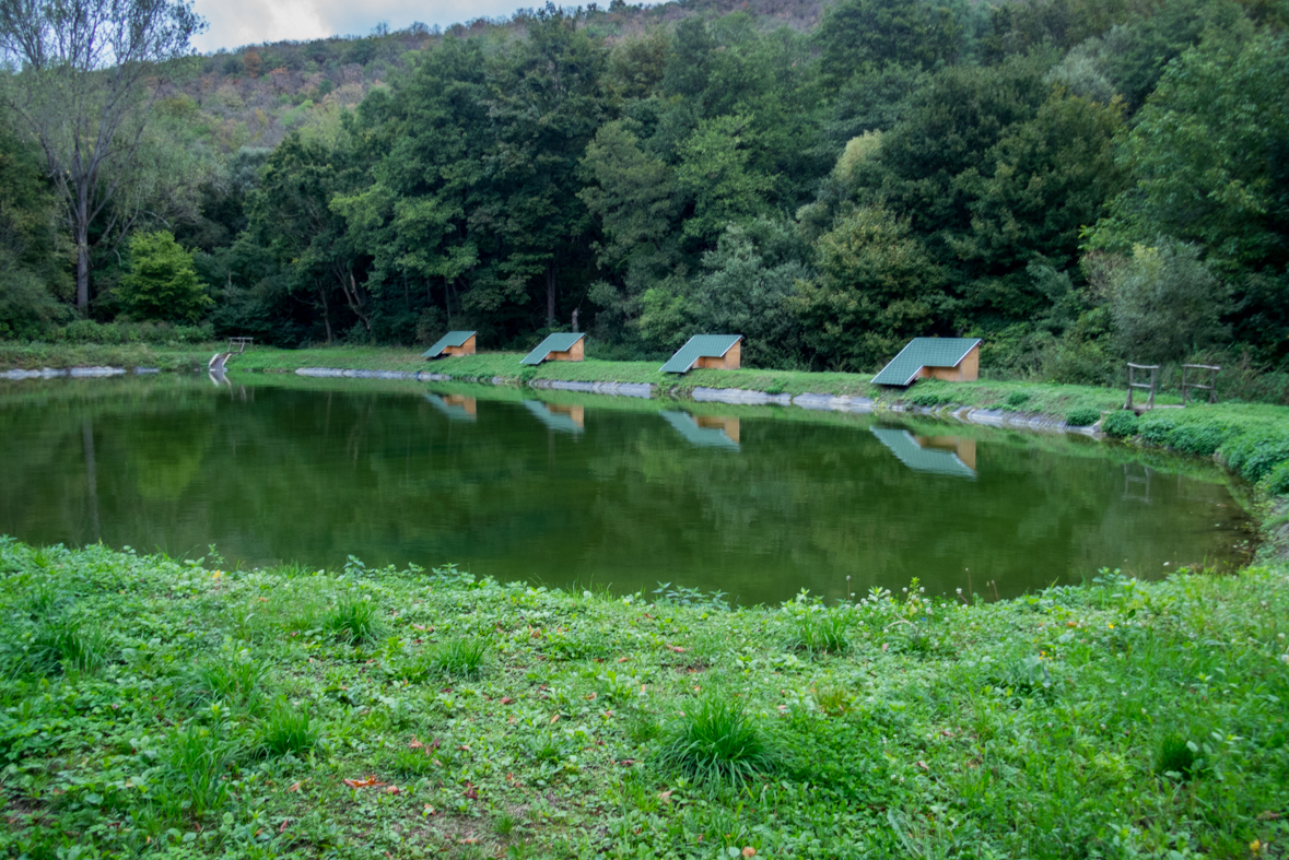 Ladislavova vyvieračka z Drienovských kúpeľov (Slovenský kras)