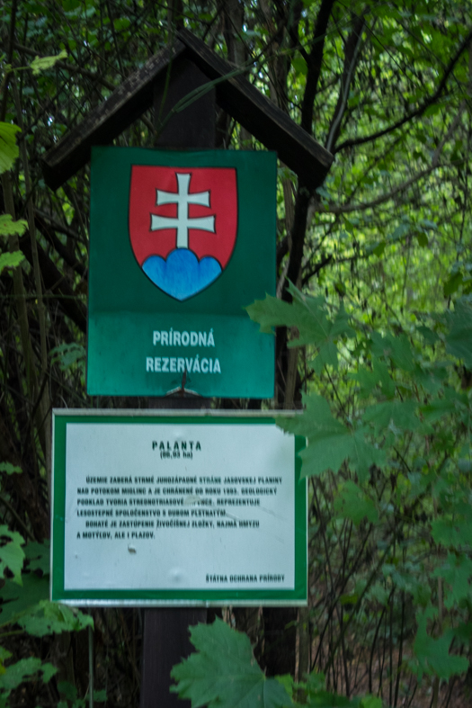 Ladislavova vyvieračka z Drienovských kúpeľov (Slovenský kras)