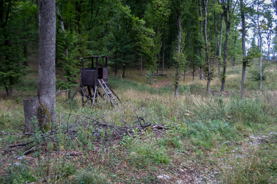 Ladislavova vyvieračka z Drienovských kúpeľov (Slovenský kras)