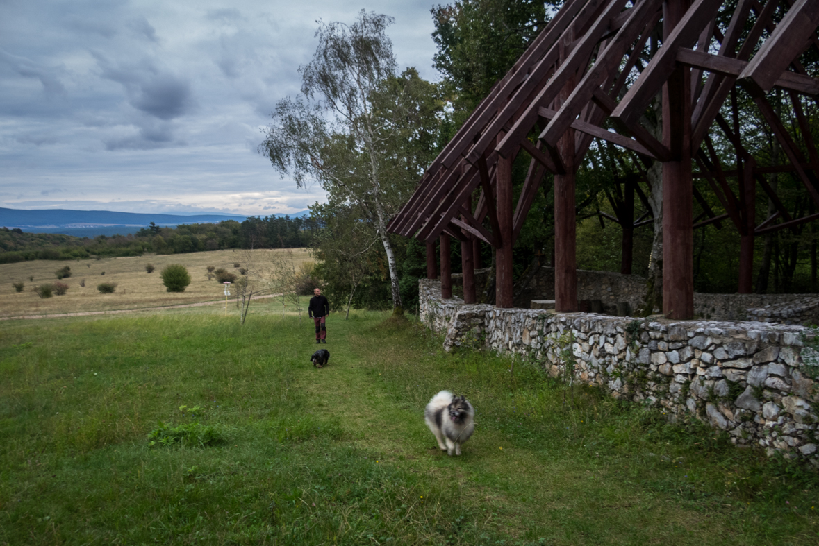 Ladislavova vyvieračka z Drienovských kúpeľov (Slovenský kras)