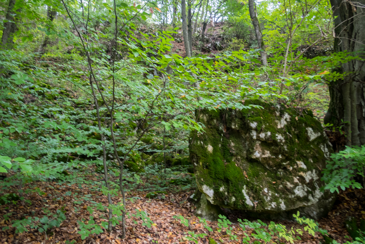 Ladislavova vyvieračka z Drienovských kúpeľov (Slovenský kras)