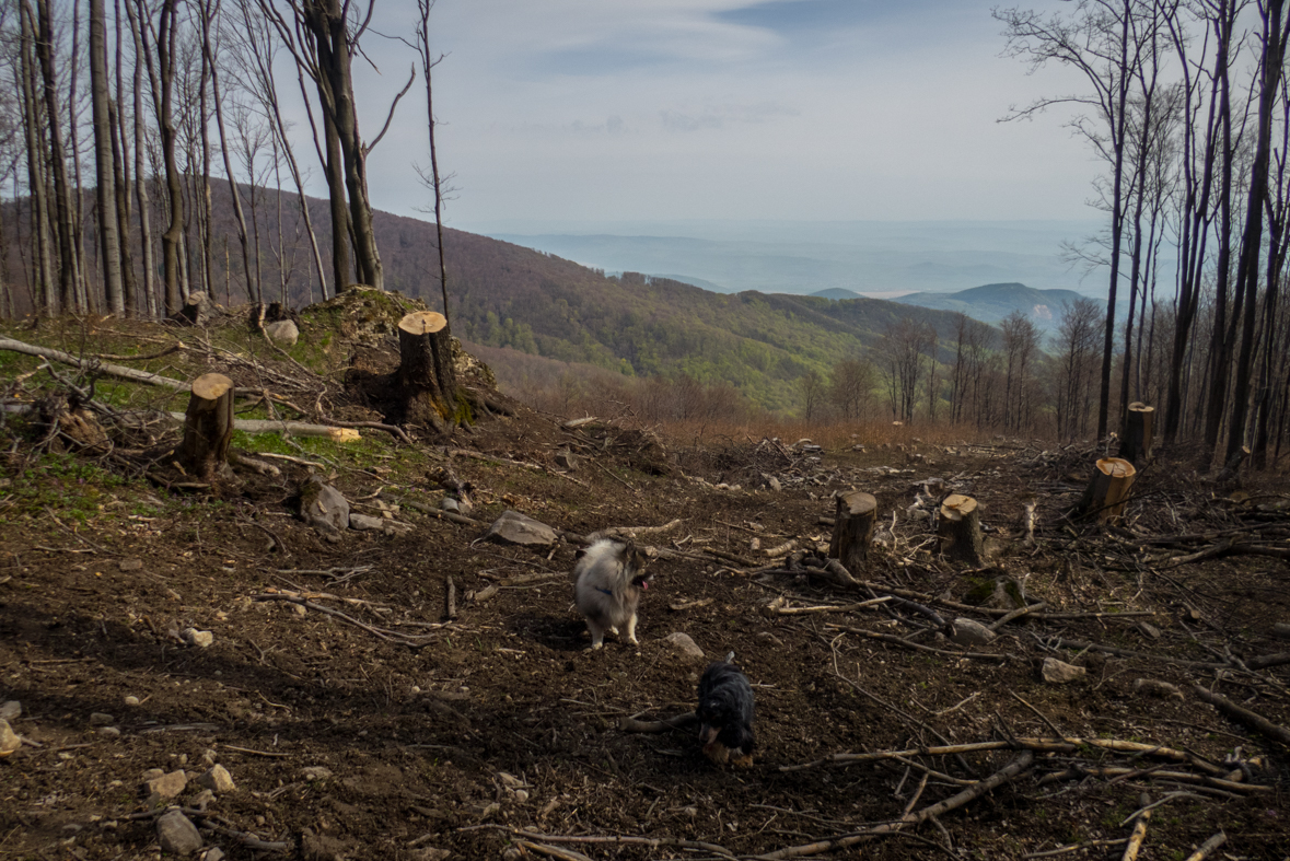 Makovica a Skaly pod Pariakovou (Slanské vrchy)