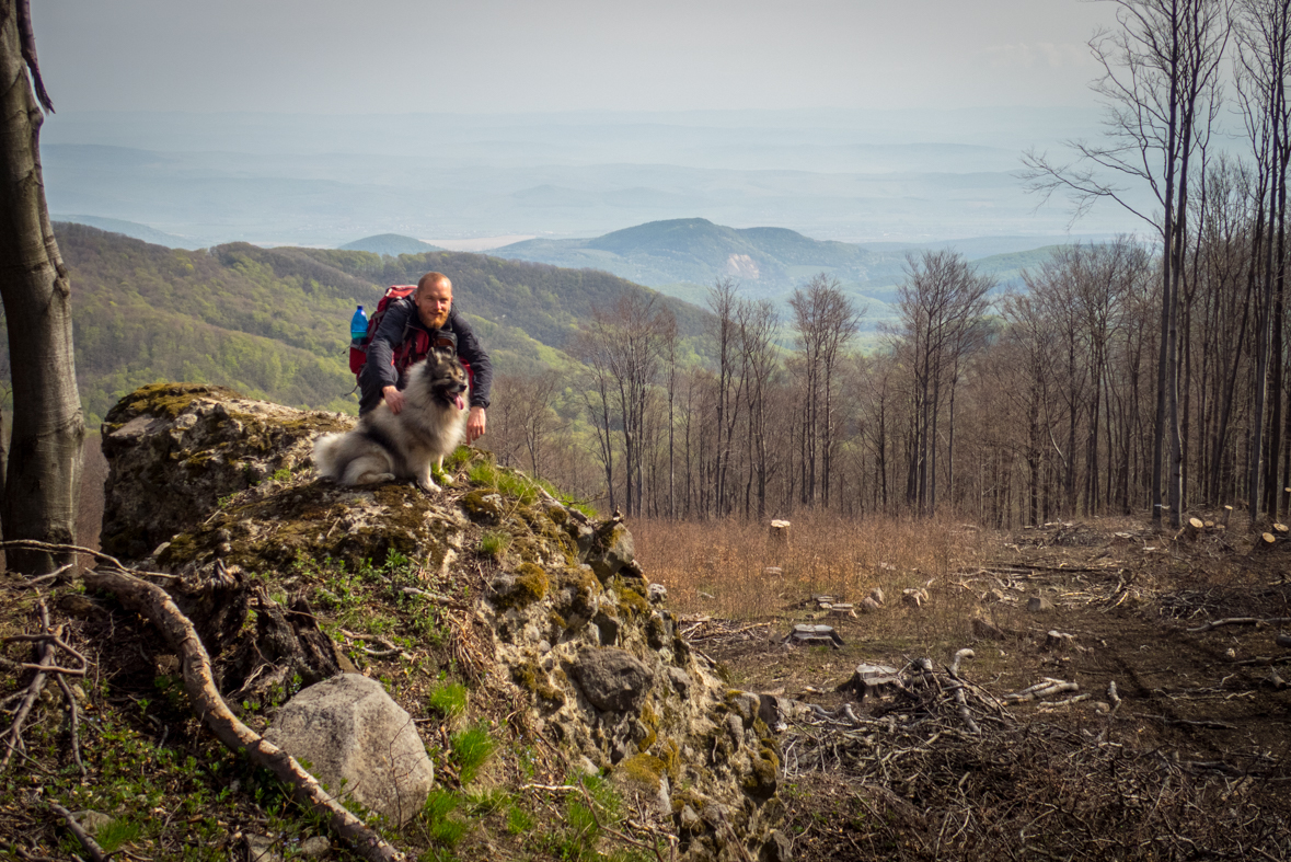 Makovica a Skaly pod Pariakovou (Slanské vrchy)