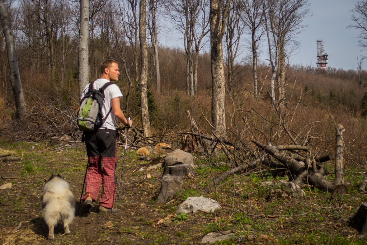 Makovica a Skaly pod Pariakovou (Slanské vrchy)