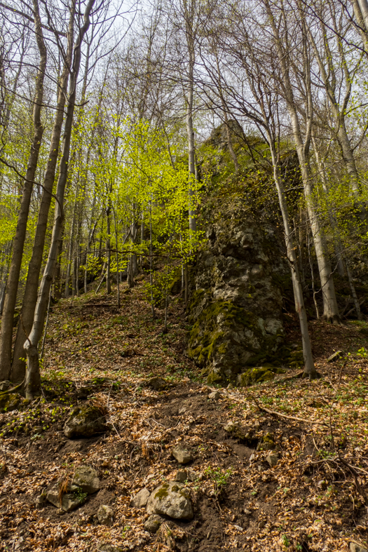 Makovica a Skaly pod Pariakovou (Slanské vrchy)