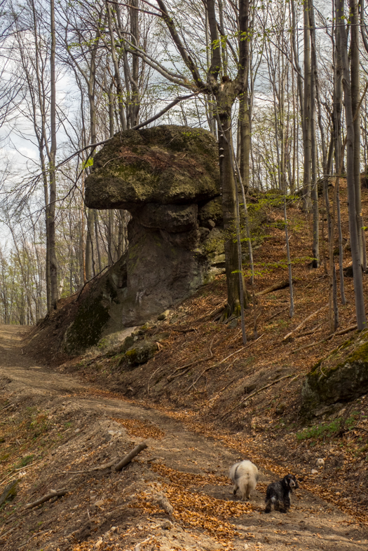 Makovica a Skaly pod Pariakovou (Slanské vrchy)