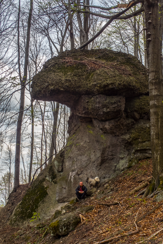 Makovica a Skaly pod Pariakovou (Slanské vrchy)