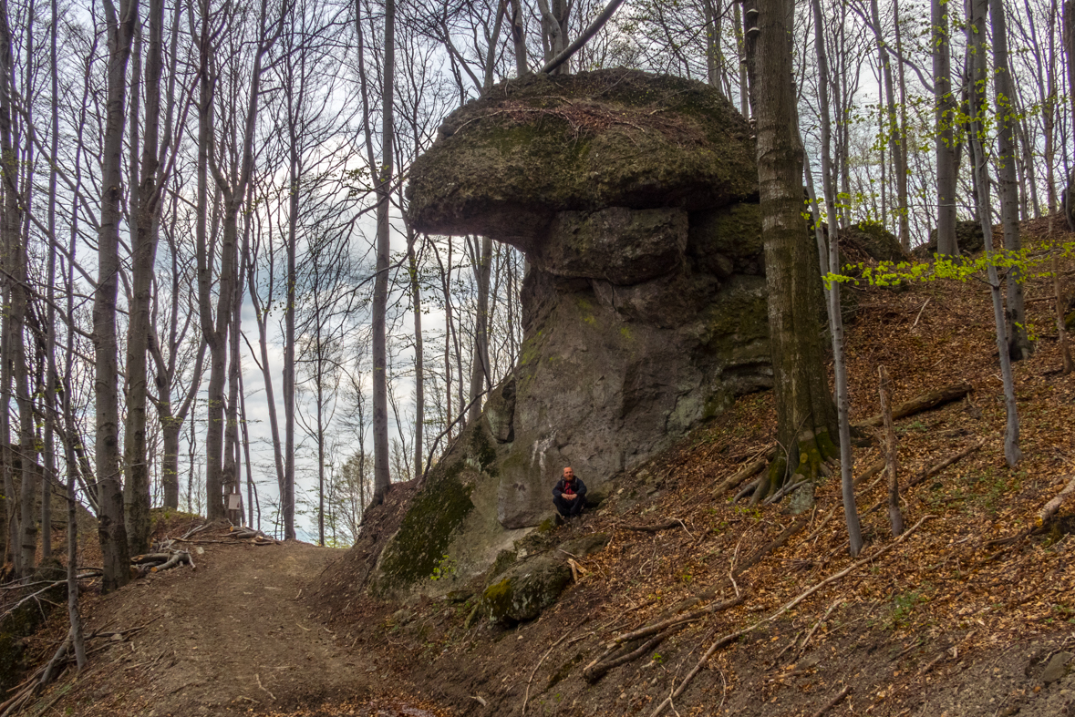 Makovica a Skaly pod Pariakovou (Slanské vrchy)