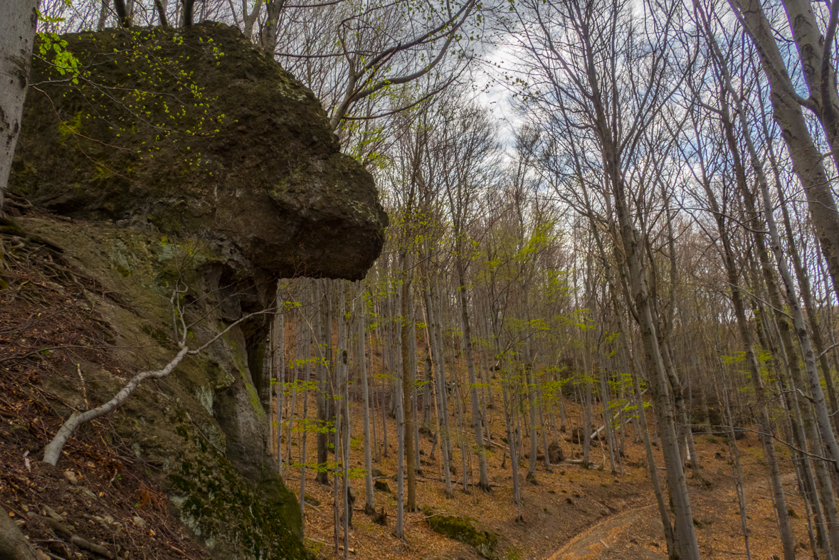 Makovica a Skaly pod Pariakovou (Slanské vrchy)