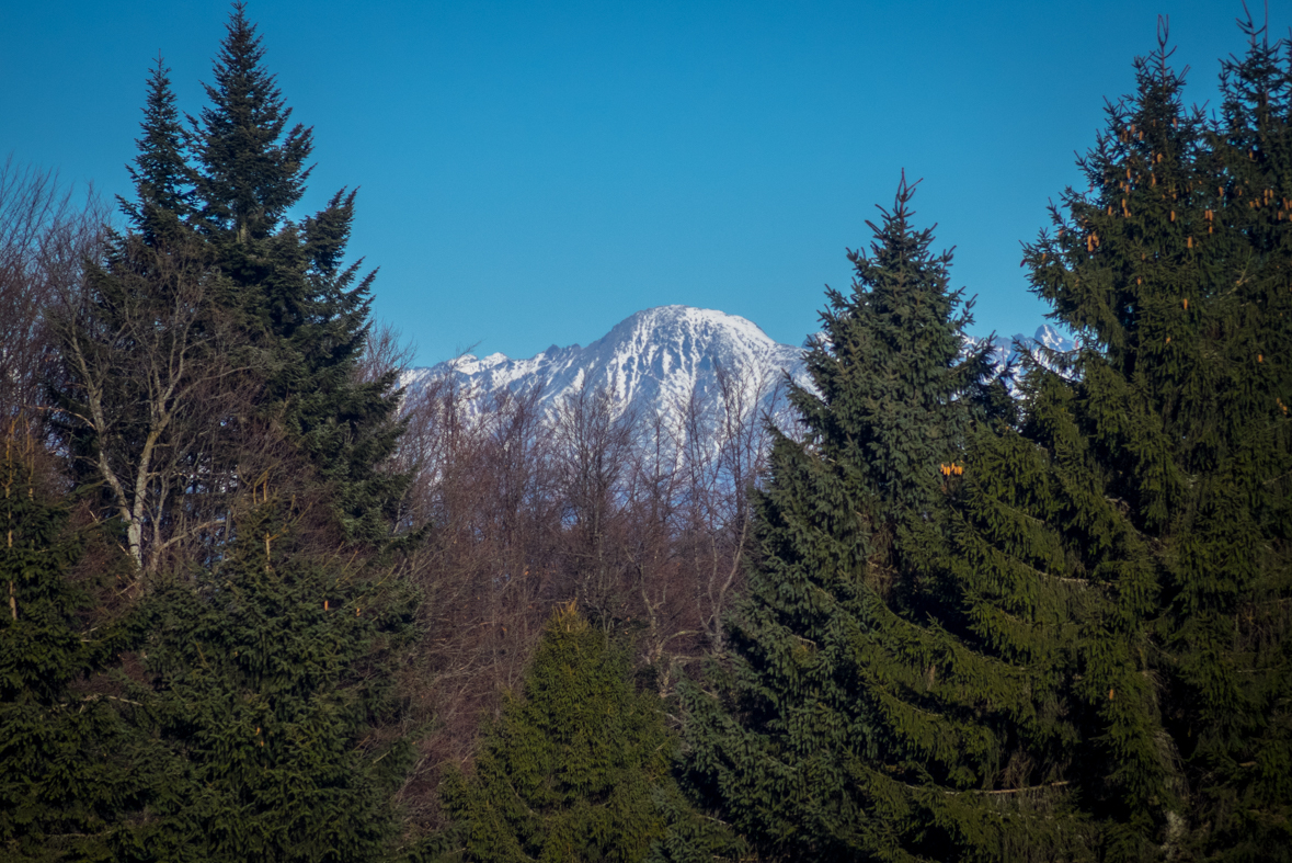 Ondrejisko (Borovniak) zo Stratenej (Slovenský raj)