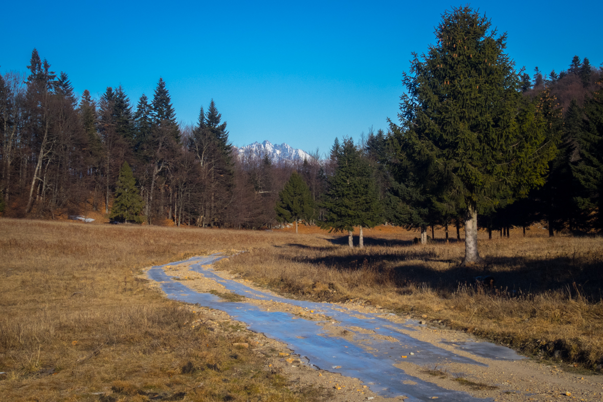 Ondrejisko (Borovniak) zo Stratenej (Slovenský raj)