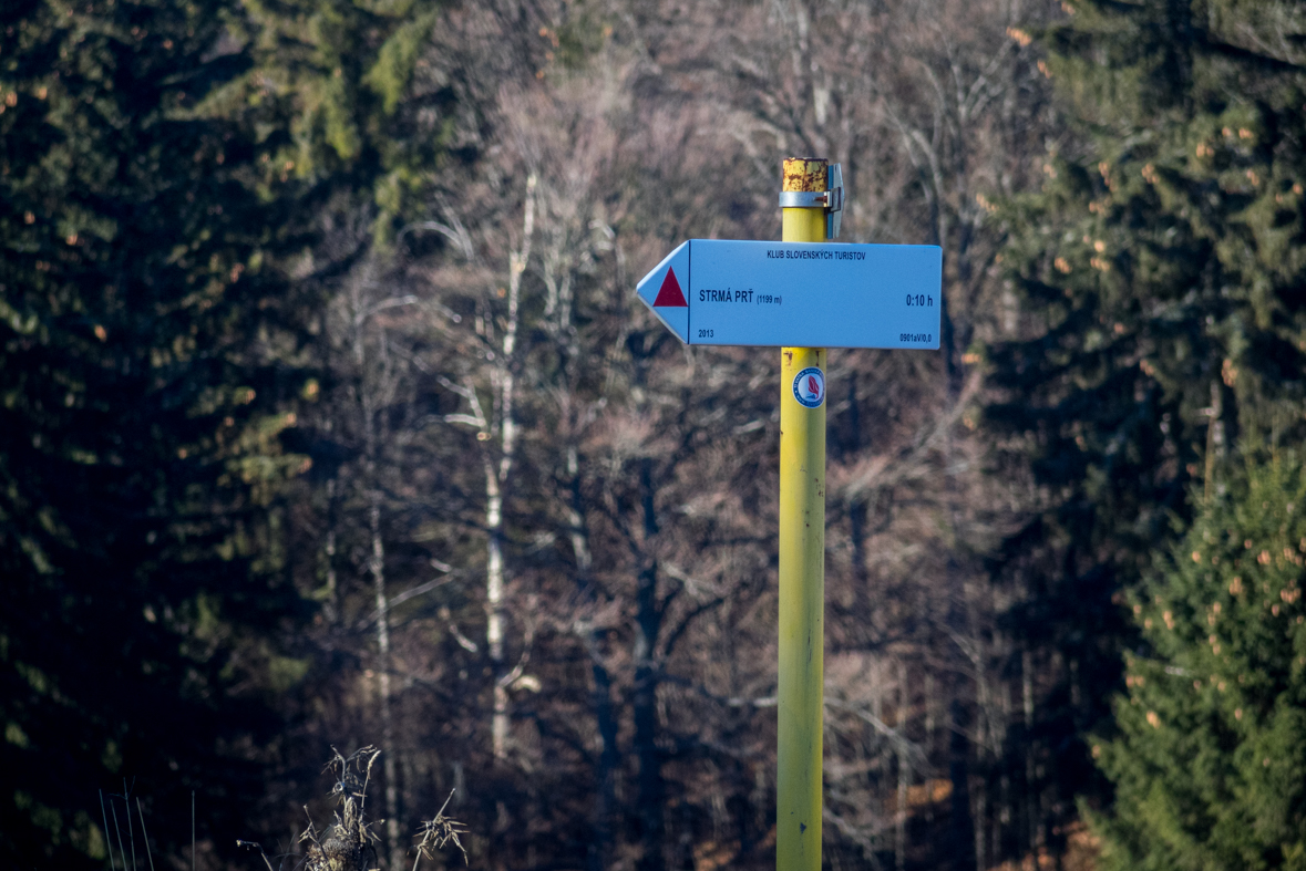 Ondrejisko (Borovniak) zo Stratenej (Slovenský raj)