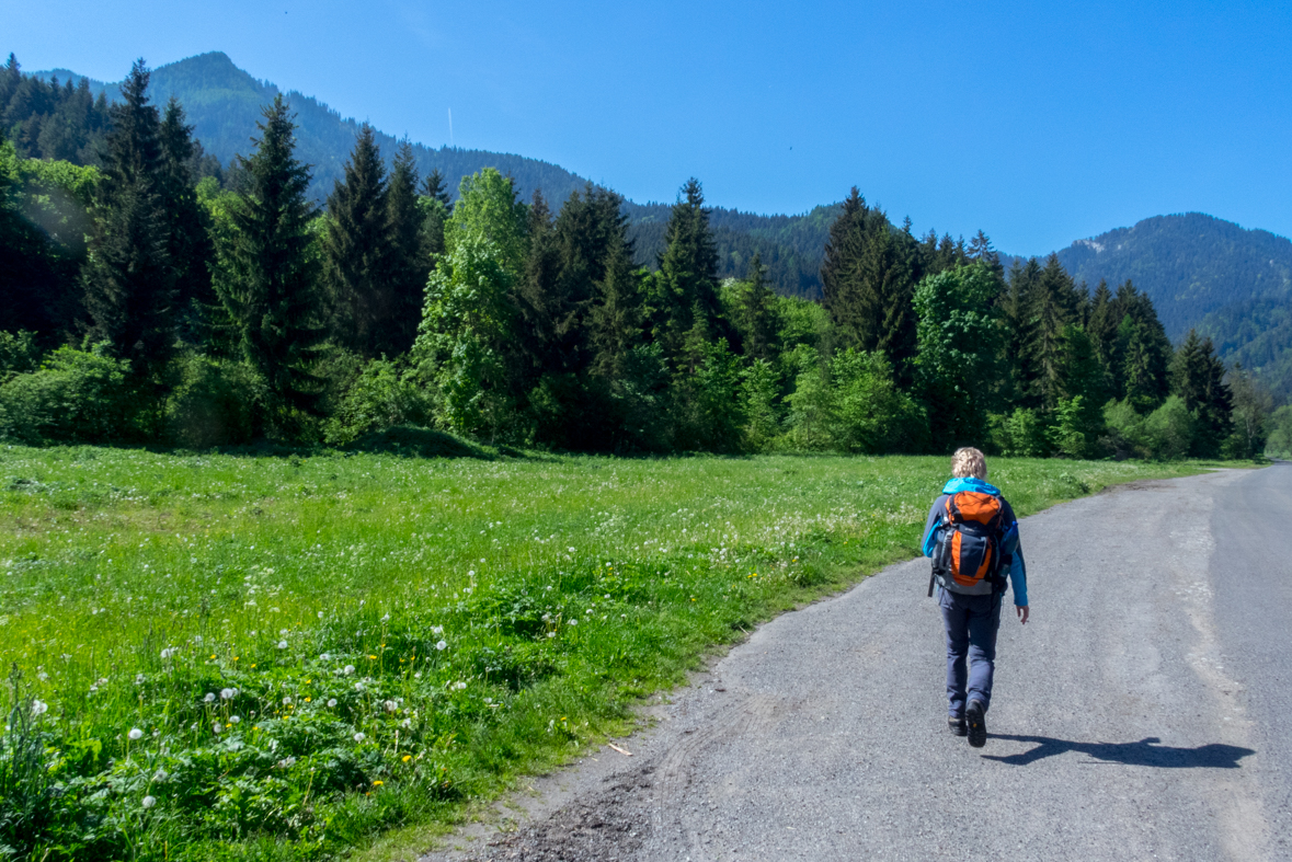 Poludnica z Iľanova (Nízke Tatry)