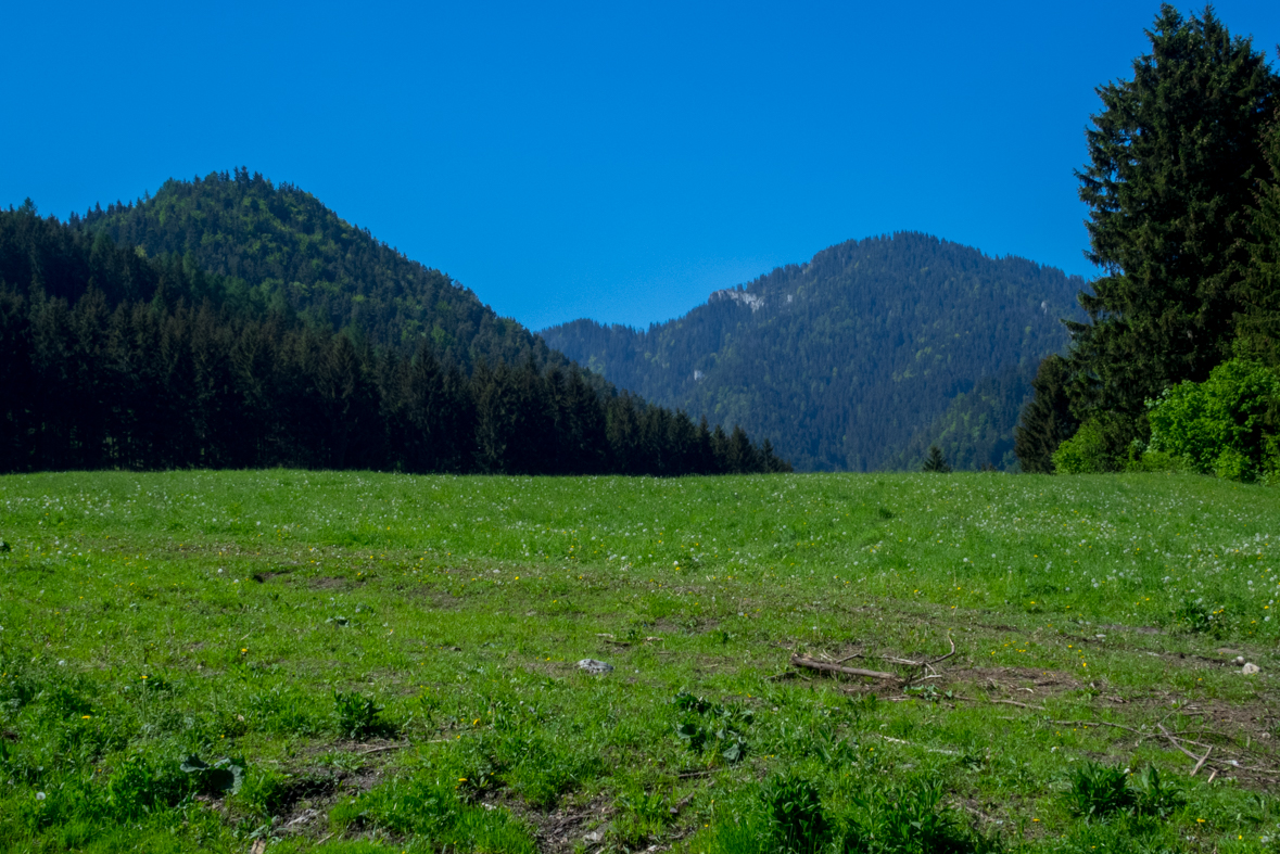 Poludnica z Iľanova (Nízke Tatry)