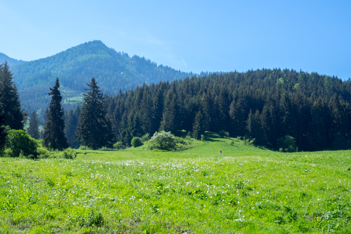 Poludnica z Iľanova (Nízke Tatry)