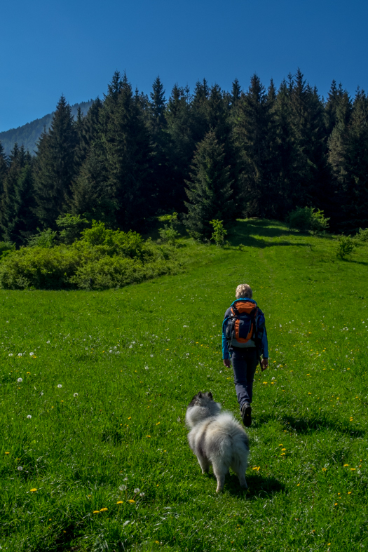 Poludnica z Iľanova (Nízke Tatry)