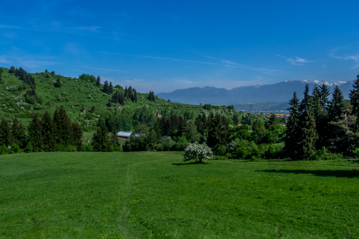 Poludnica z Iľanova (Nízke Tatry)