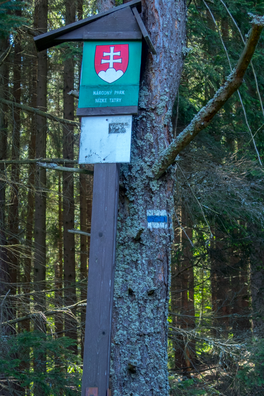 Poludnica z Iľanova (Nízke Tatry)