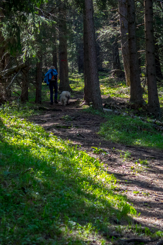 Poludnica z Iľanova (Nízke Tatry)