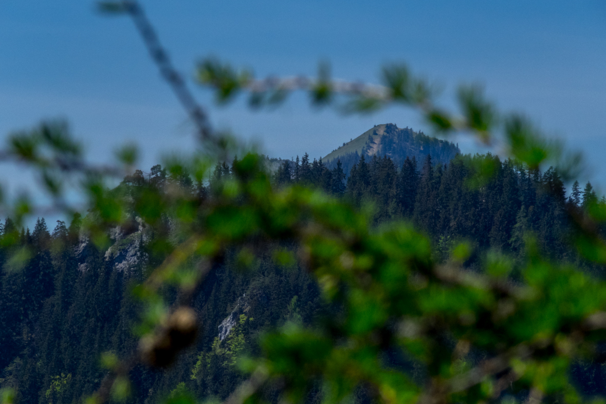 Poludnica z Iľanova (Nízke Tatry)