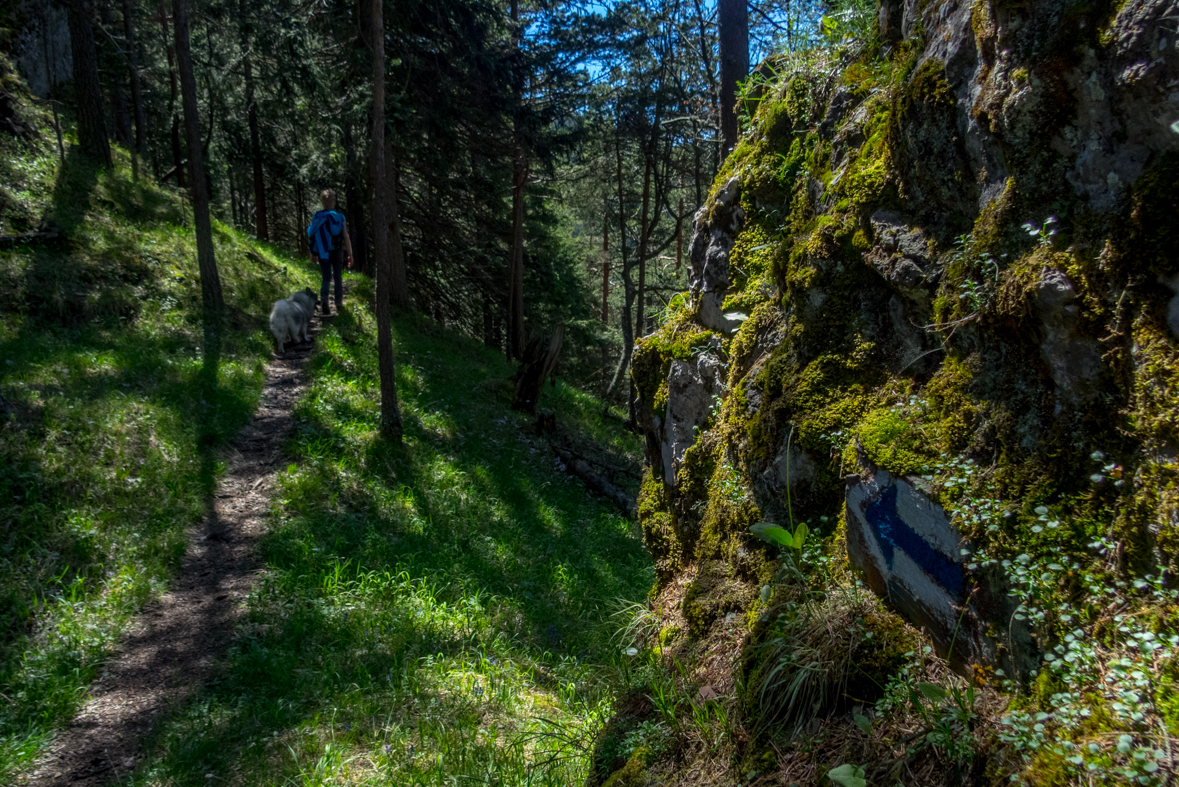 Poludnica z Iľanova (Nízke Tatry)