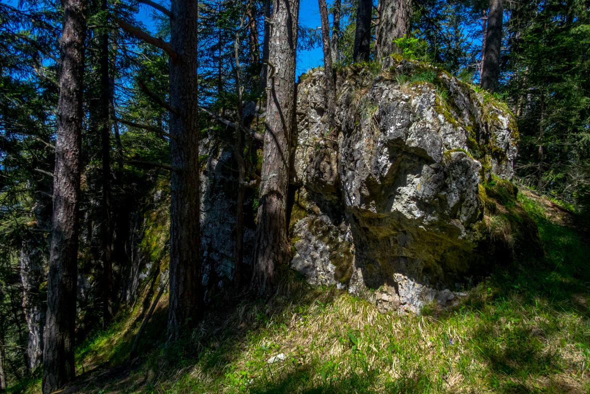 Poludnica z Iľanova (Nízke Tatry)