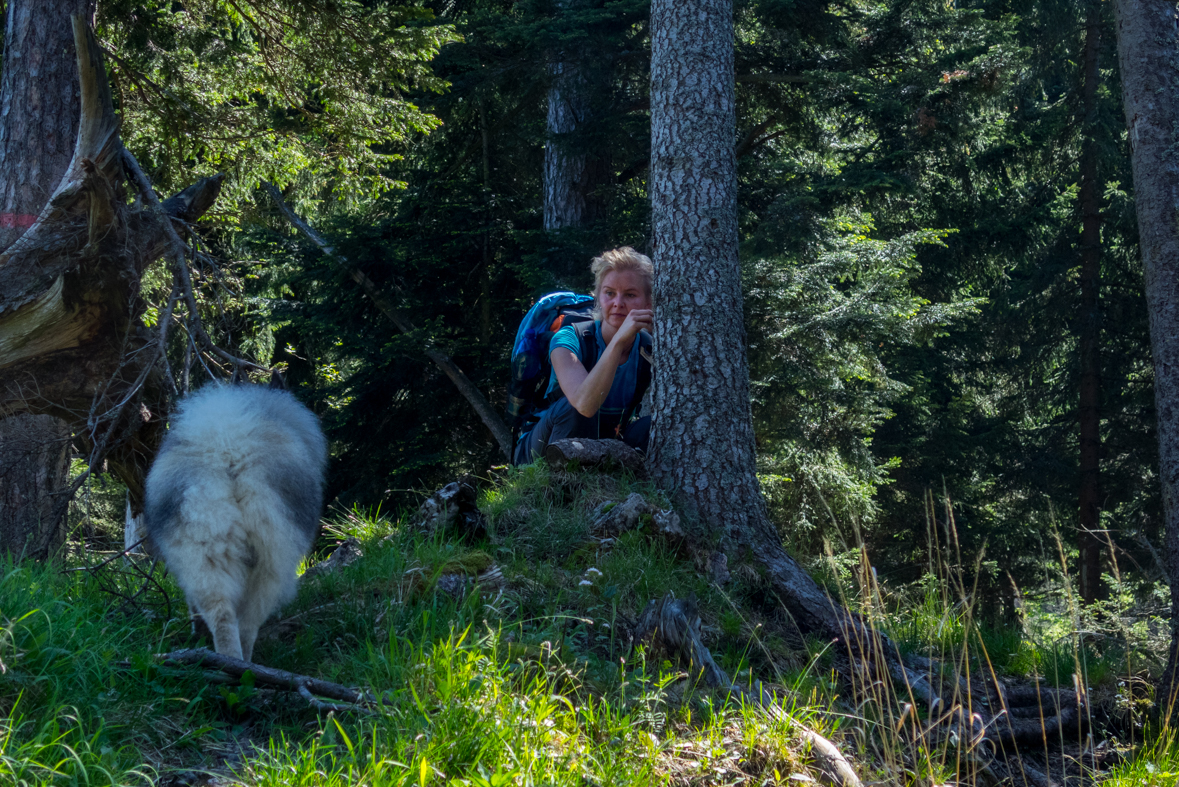 Poludnica z Iľanova (Nízke Tatry)