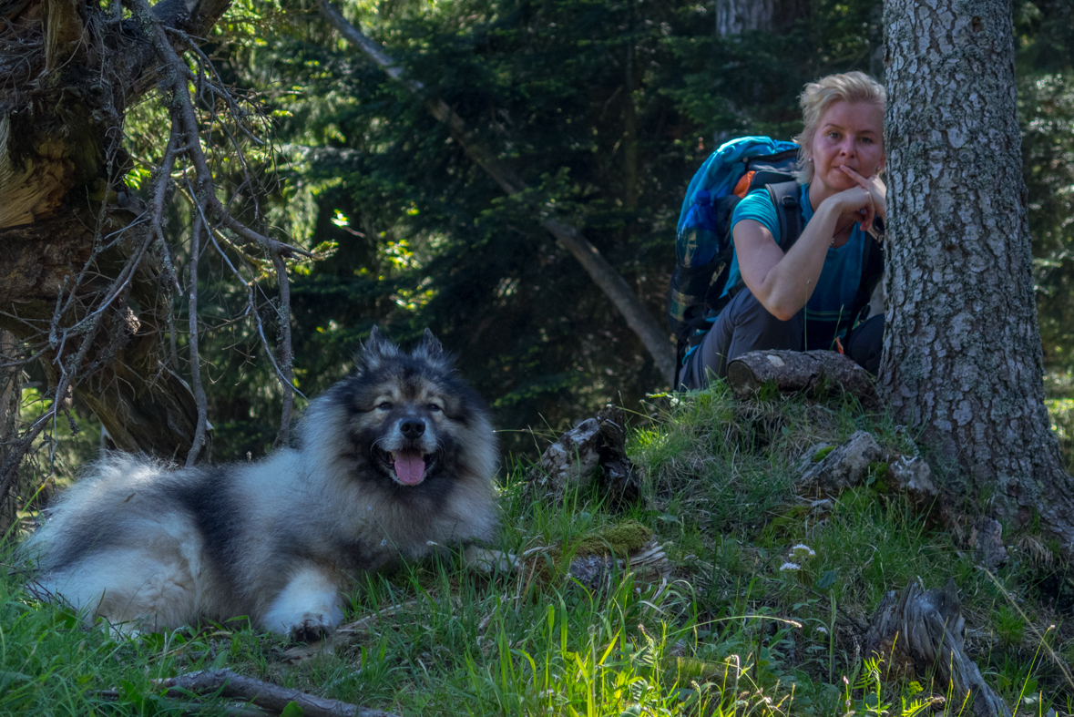 Poludnica z Iľanova (Nízke Tatry)