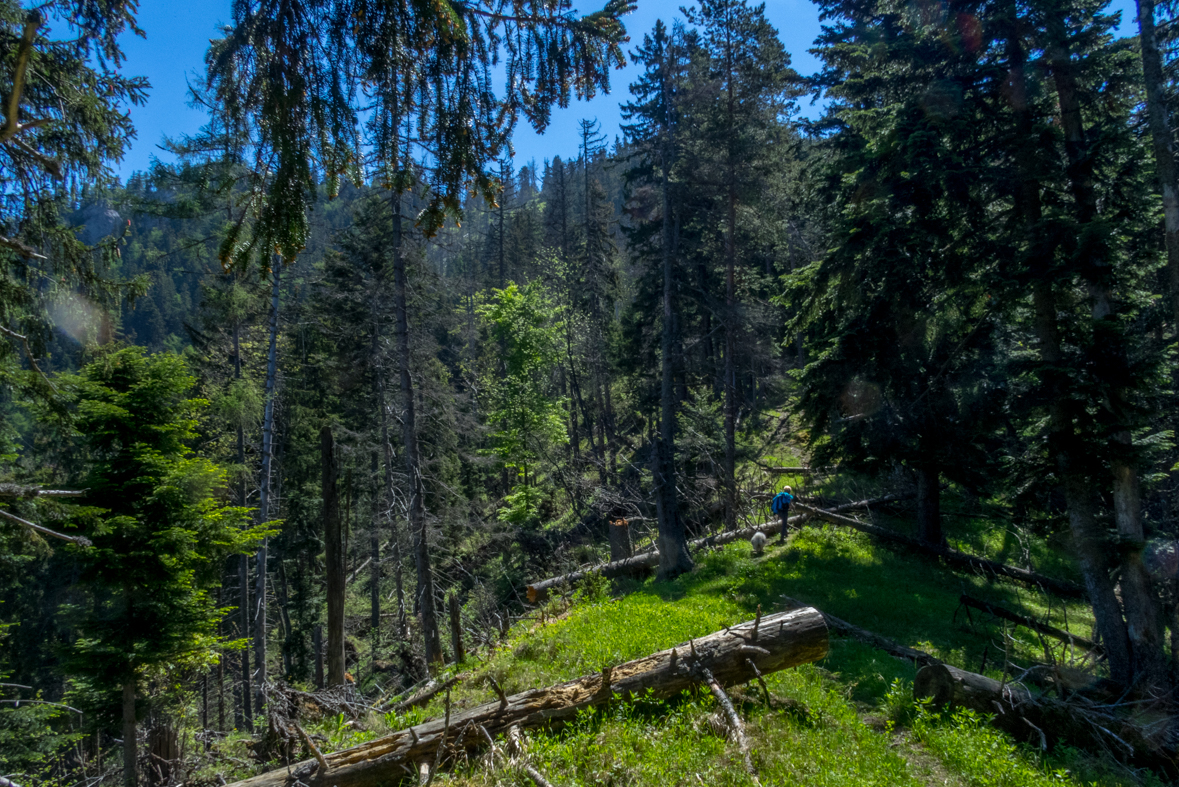 Poludnica z Iľanova (Nízke Tatry)