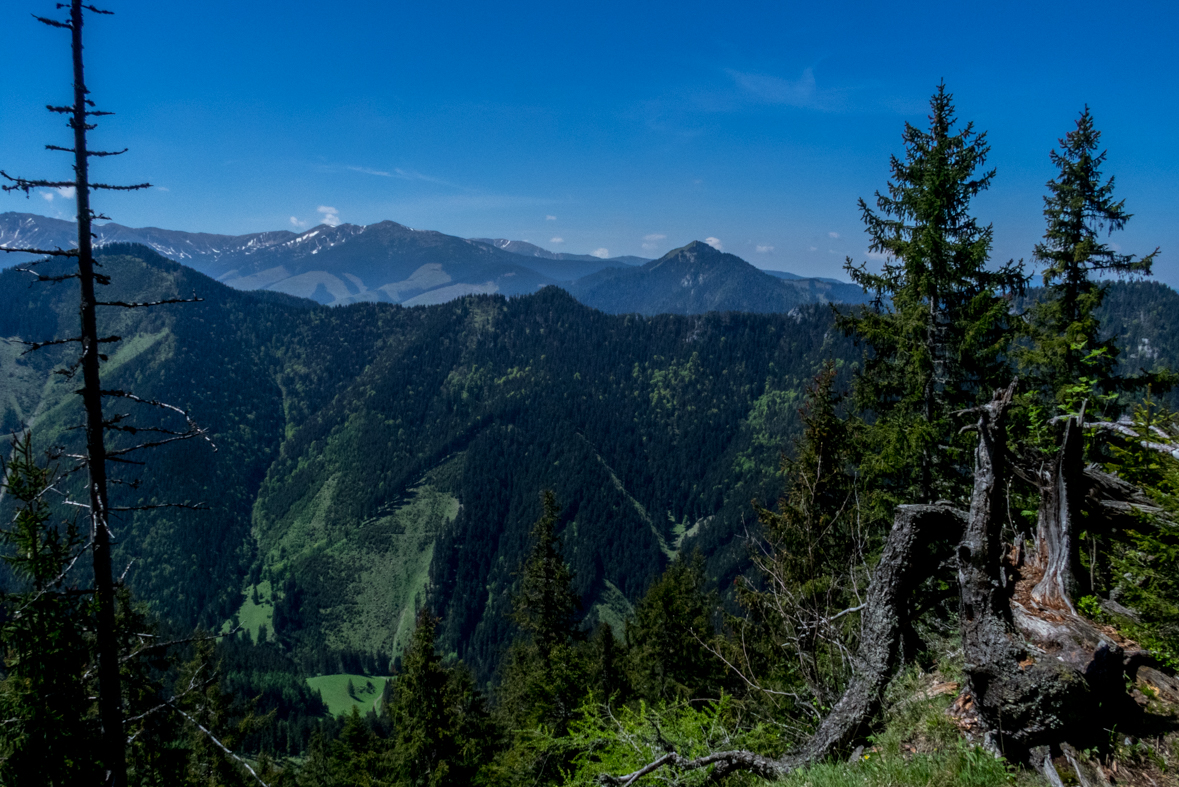 Poludnica z Iľanova (Nízke Tatry)