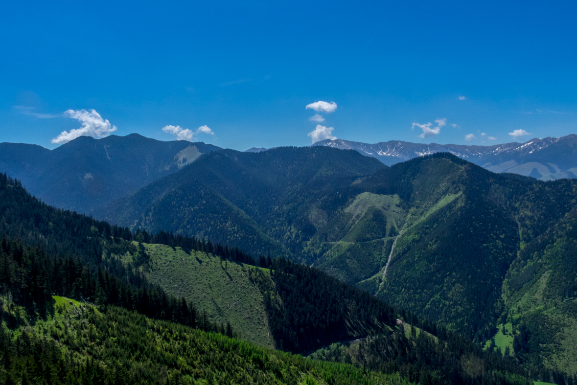 Poludnica z Iľanova (Nízke Tatry)