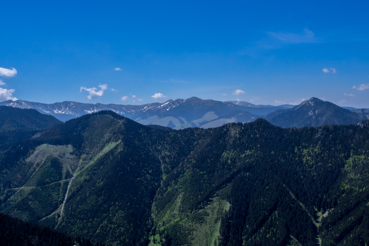 Poludnica z Iľanova (Nízke Tatry)