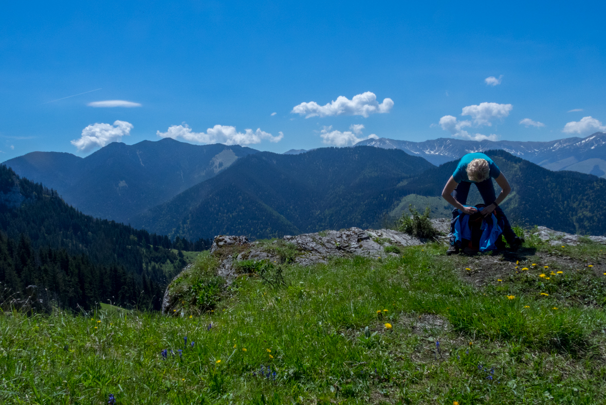 Poludnica z Iľanova (Nízke Tatry)