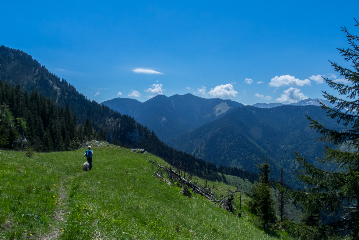 Poludnica z Iľanova (Nízke Tatry)